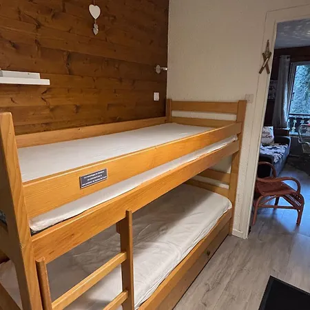 Chaleureux Proche Pistes Avec Balcon Sud, Casier A Skis, Parking Et Equipements Complets. - Fr-1-692-61 * La Chapelle-d'Abondance